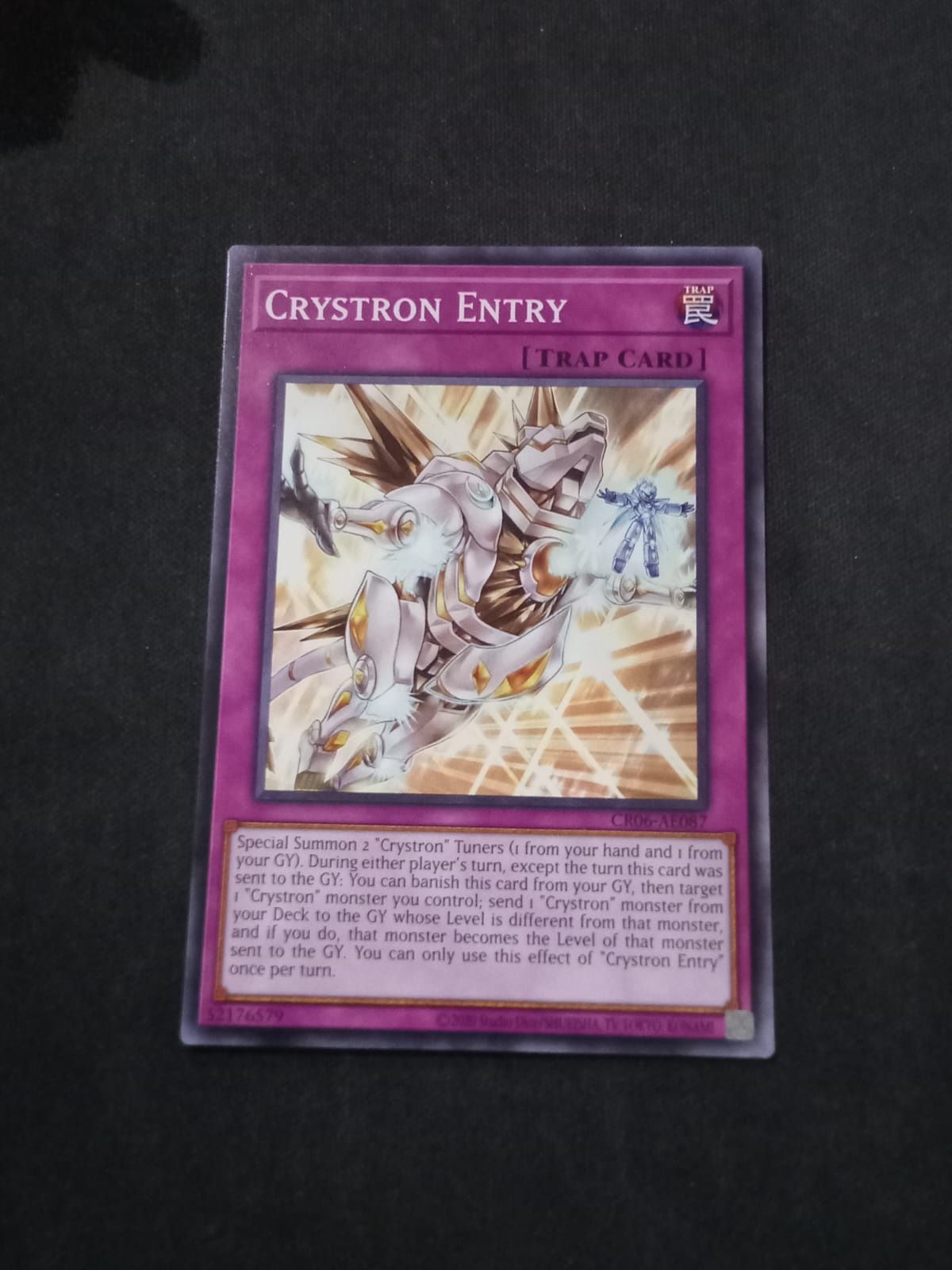 CR06-AE087 Crystron Entry Common