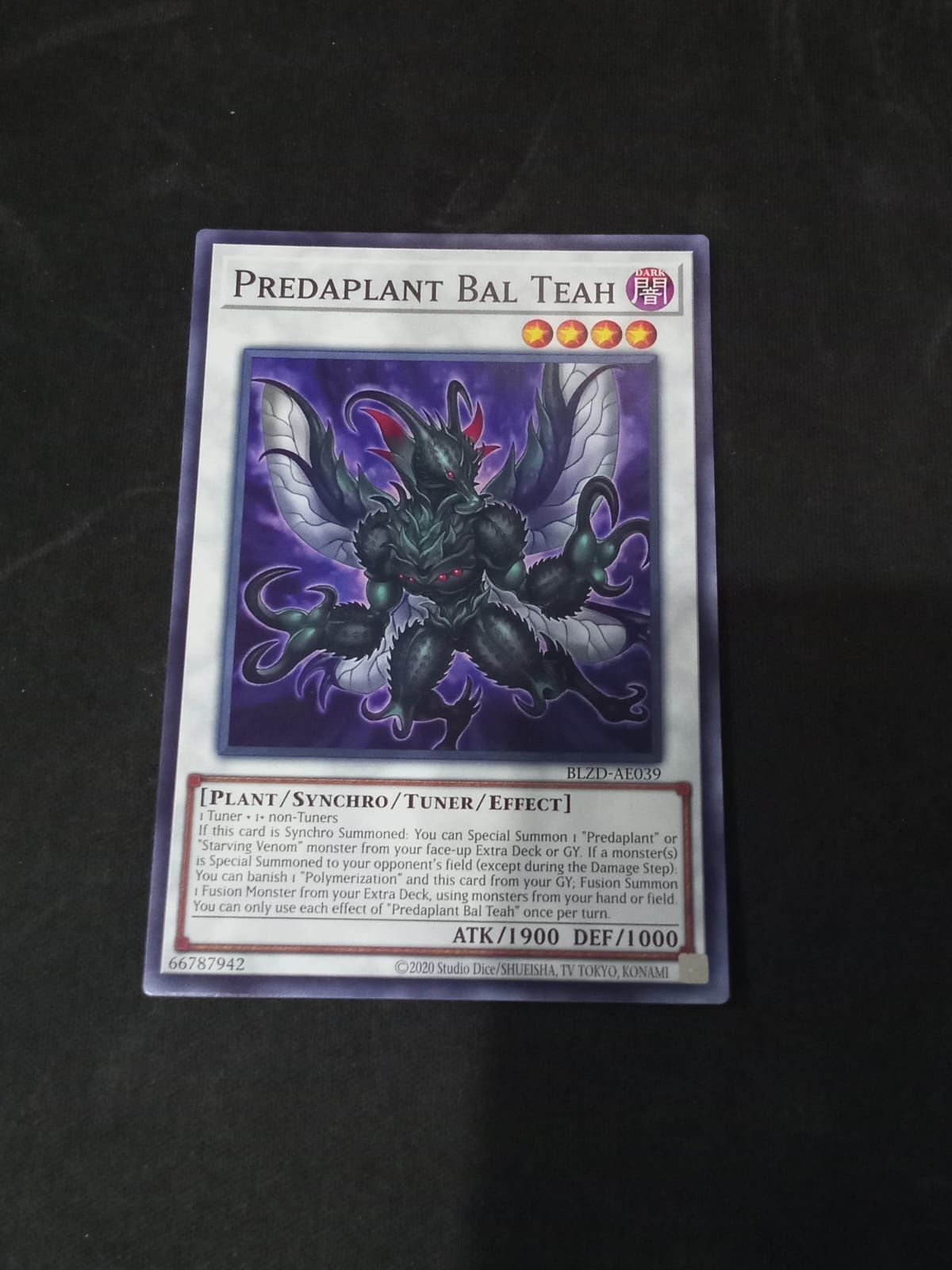 BLZD-AE039 Predaplant Bal Teah Common