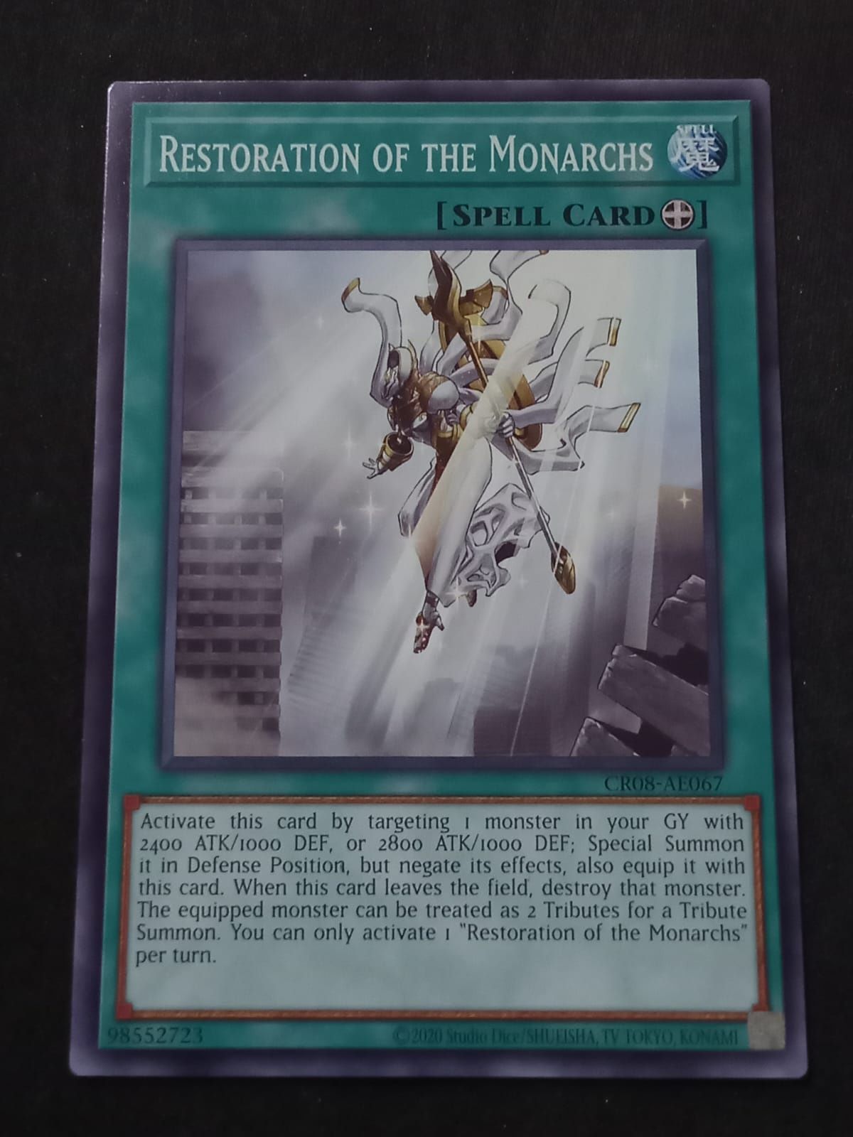 CR08-AE067 Restoration of the Monarchs Common