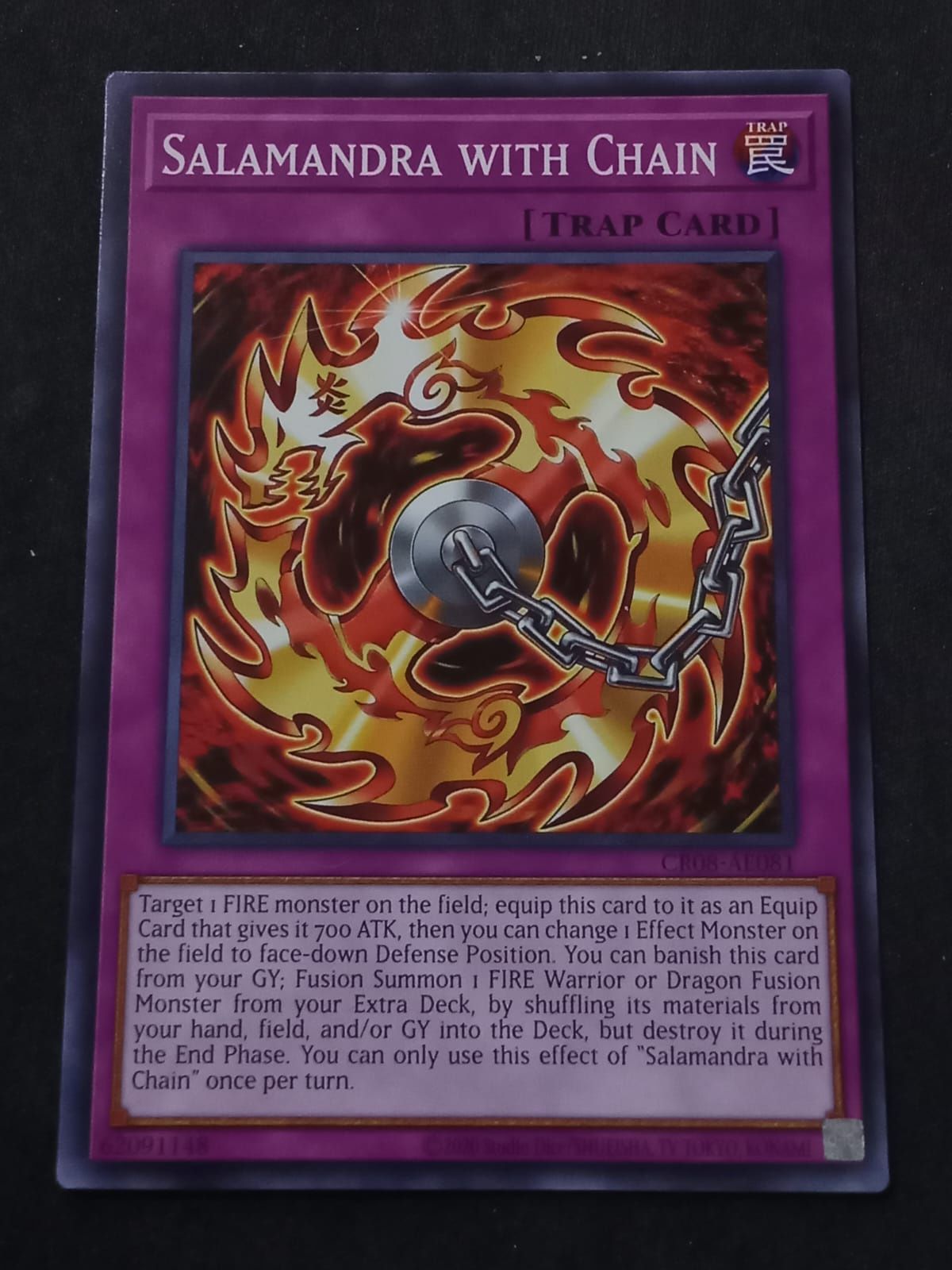 CR08-AE081 Salamandra with Chain Common