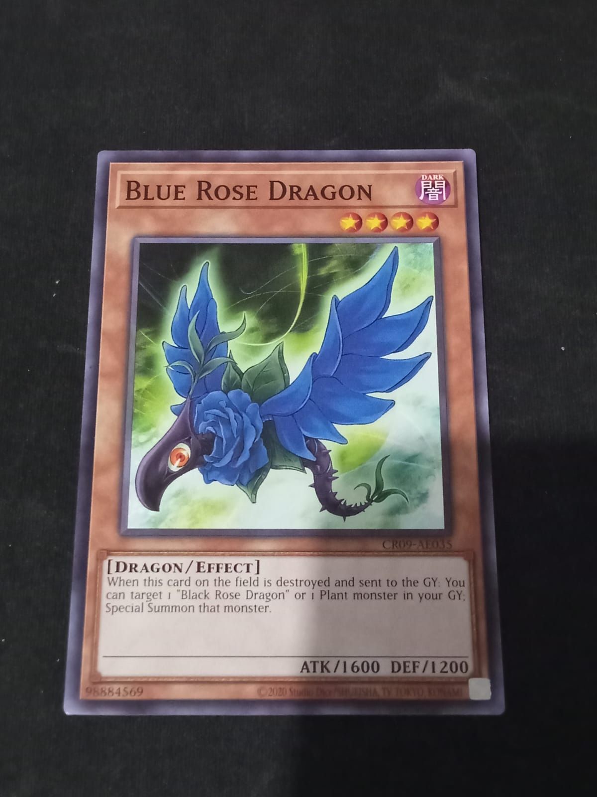 CR09-AE035 Blue Rose Dragon Common
