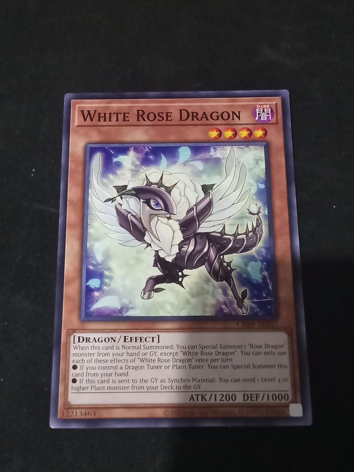 CR09-AE037 White Rose Dragon Common