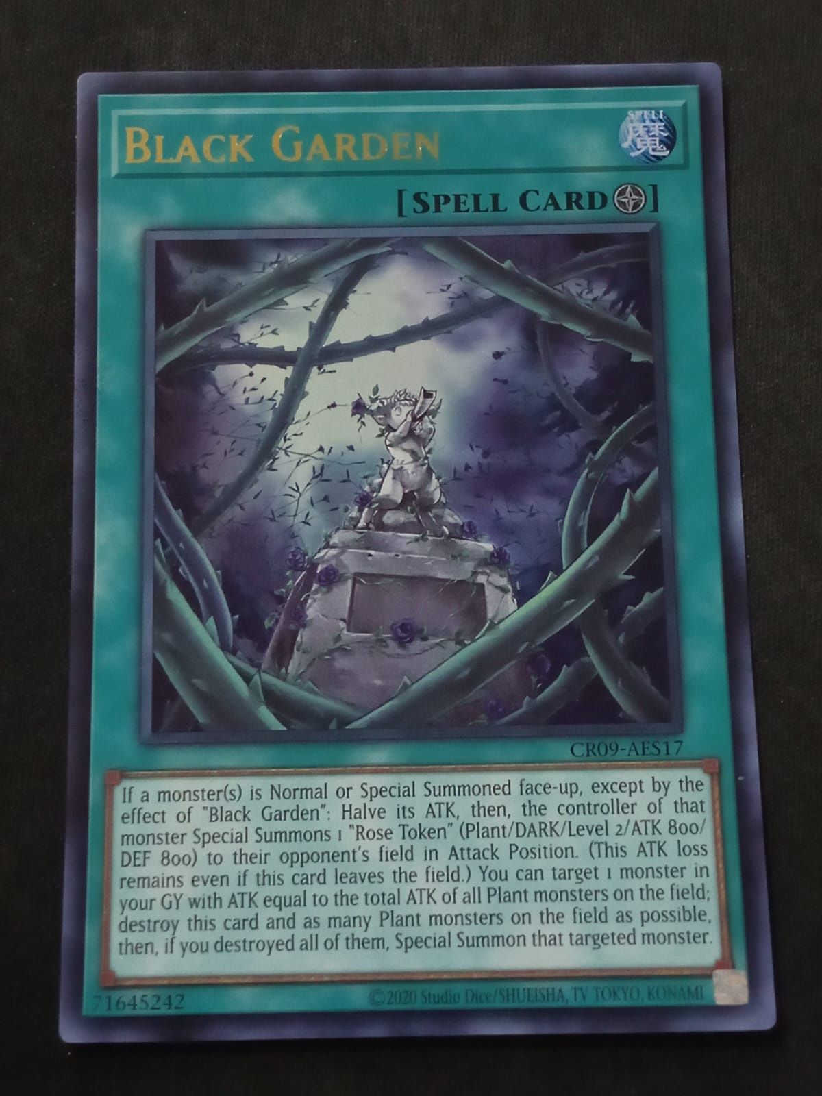 CR09-AE043 Black Garden Ultra Rare