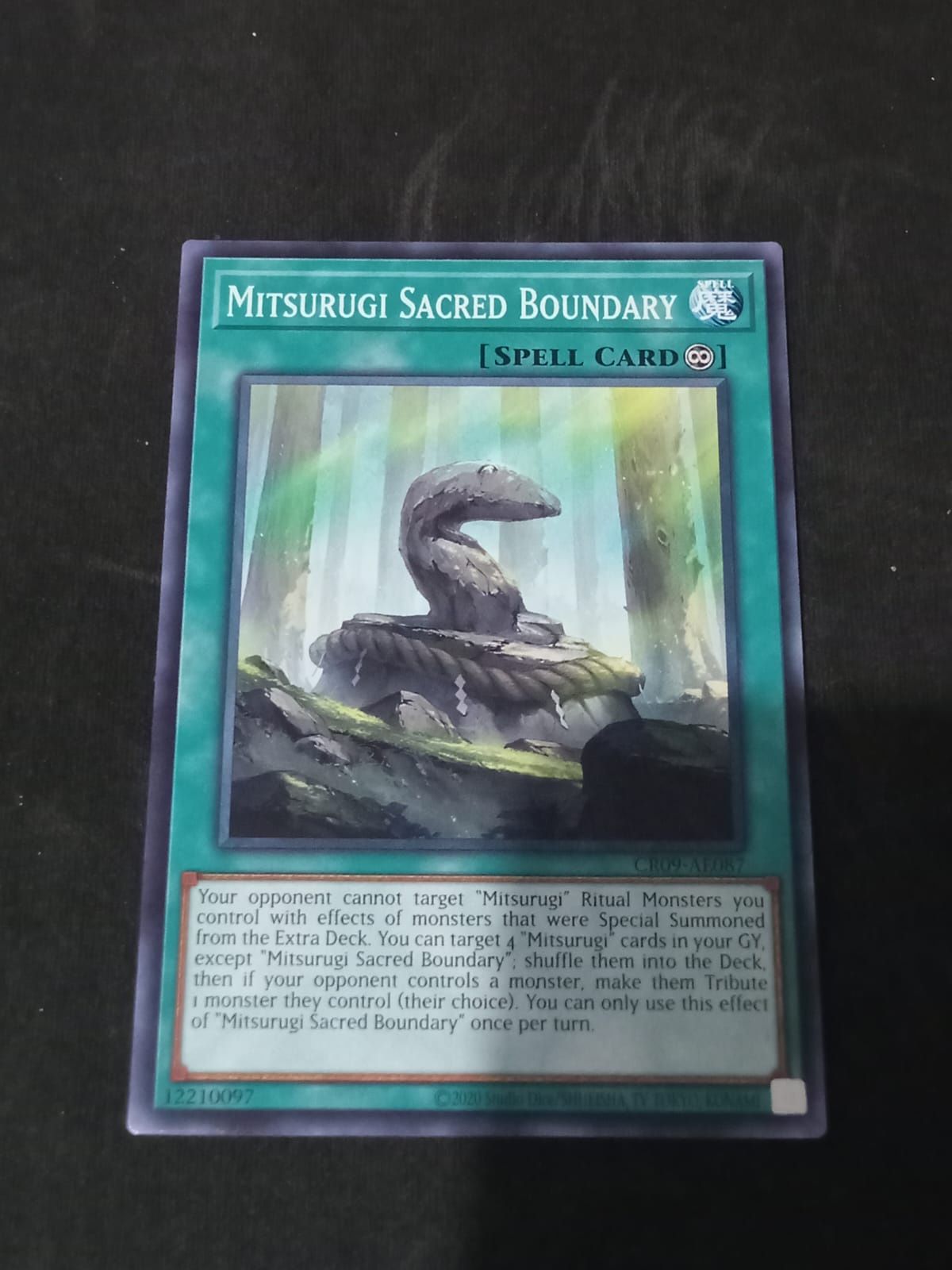 CR09-AE087 Mitsurugi Sacred Boundary Common