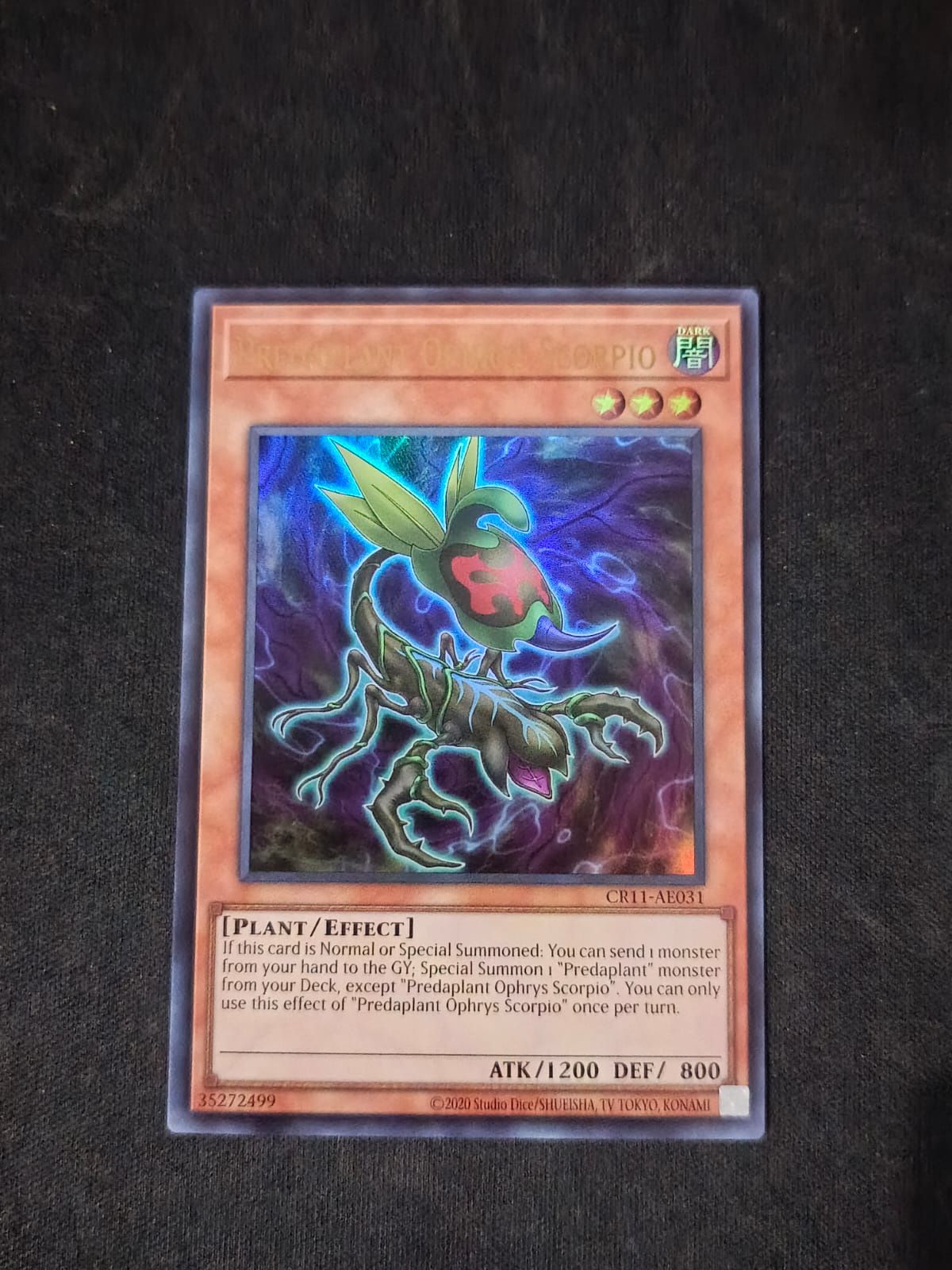 CR11-AE031 Predaplant Ophrys Scorpio Ultra Rare