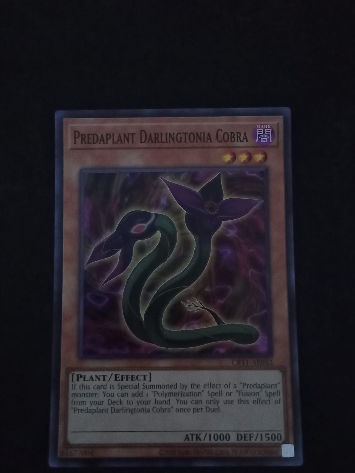 CR11-AE032 Predaplant Darlingtonia Cobra Super Rare