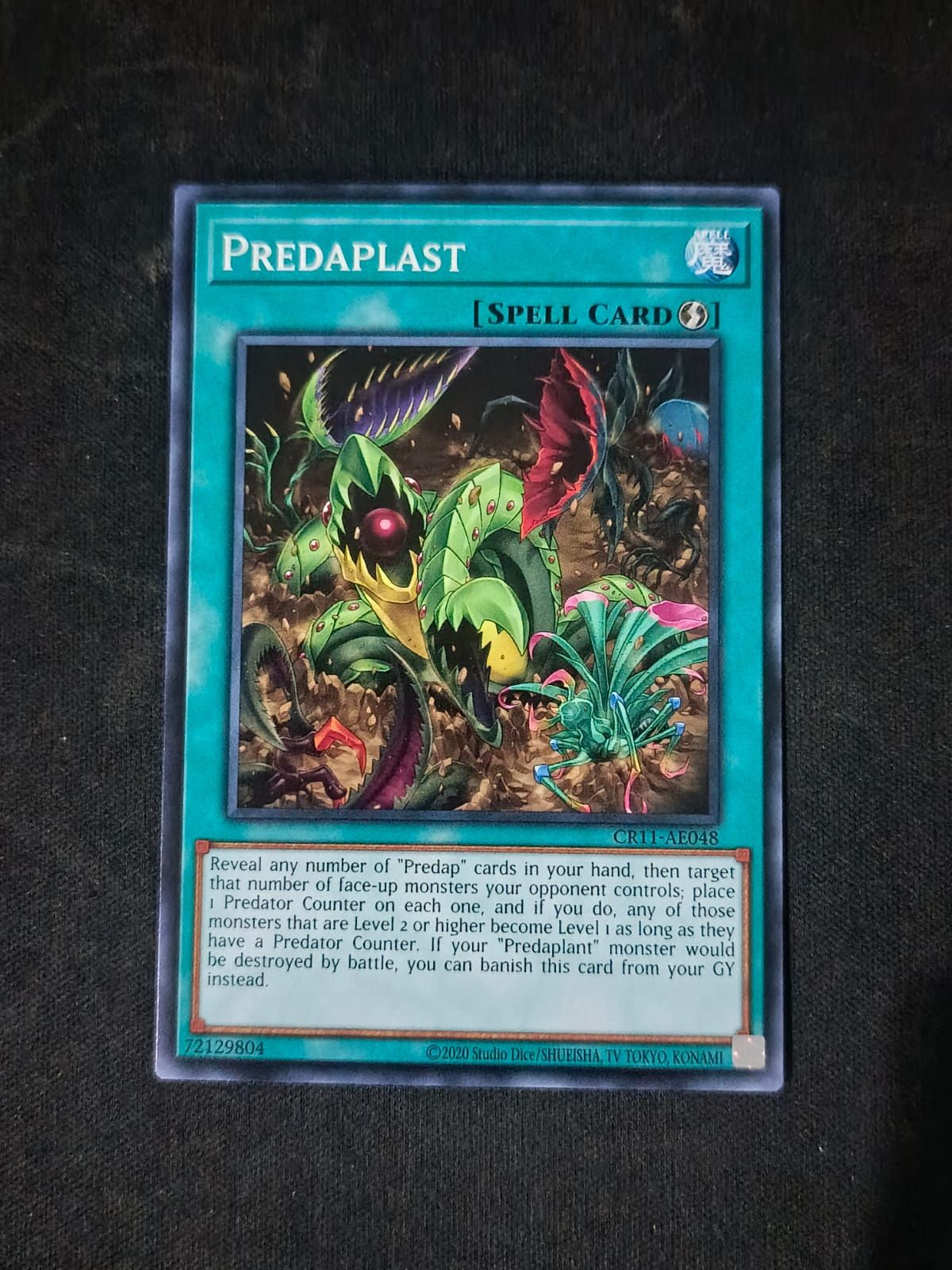 CR11-AE048 Predaplast Common