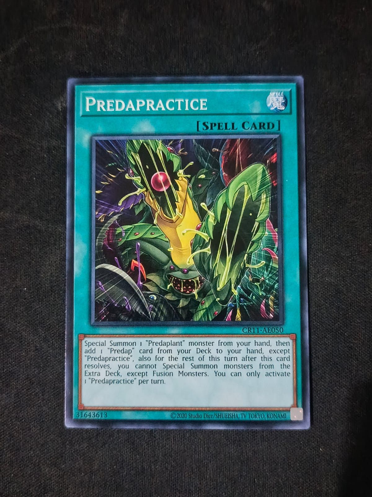 CR11-AE050 Predapractice Common