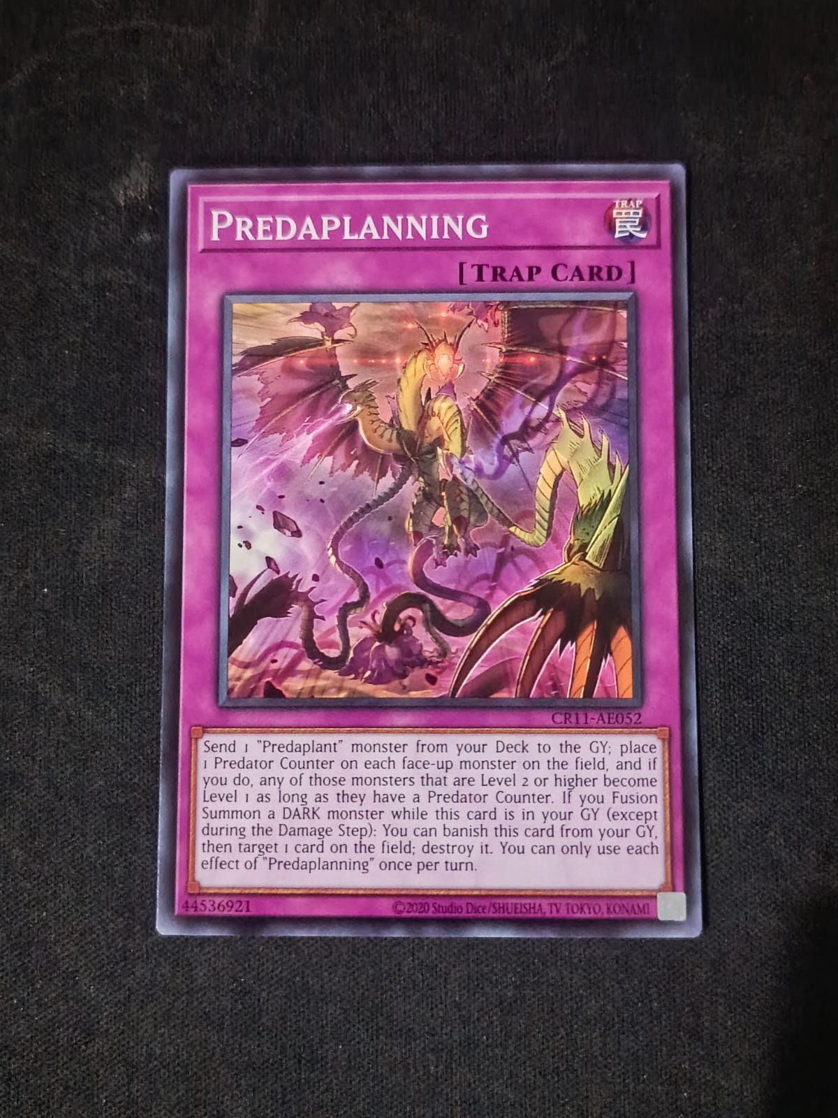 CR11-AE052 Predaplanning Common