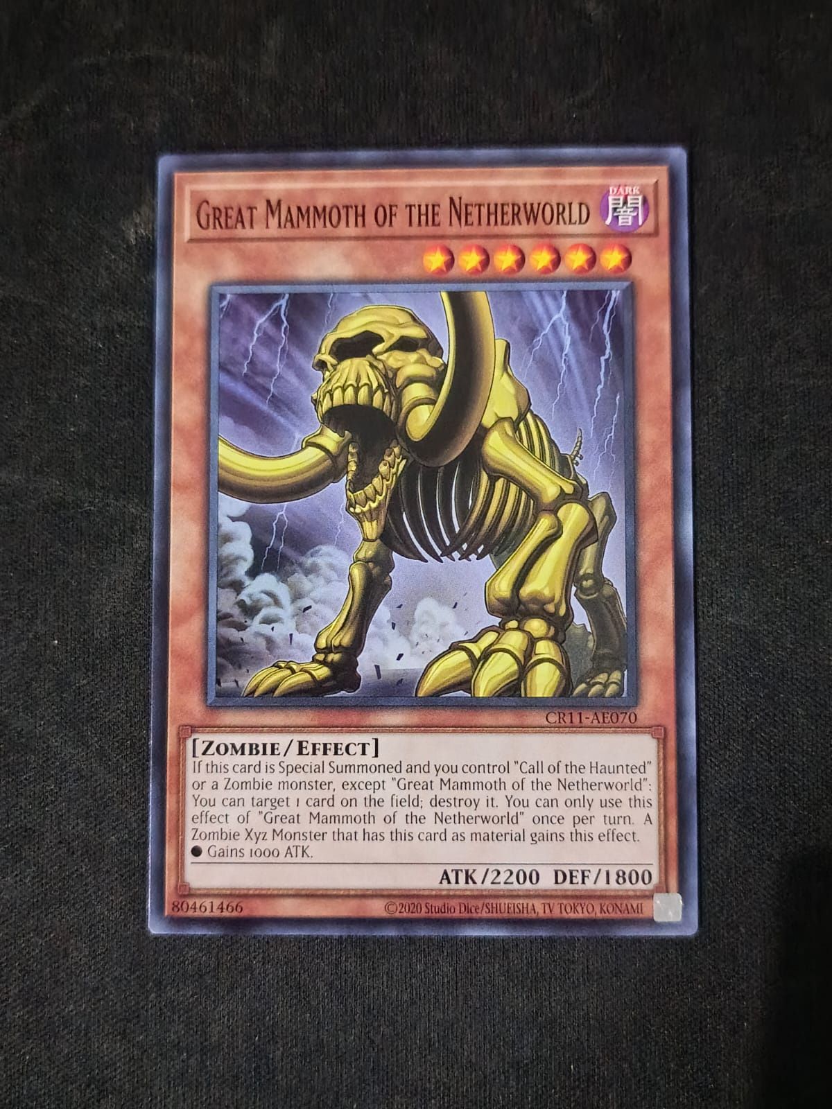 CR11-AE070 Great Mammoth of the Netherworld Common