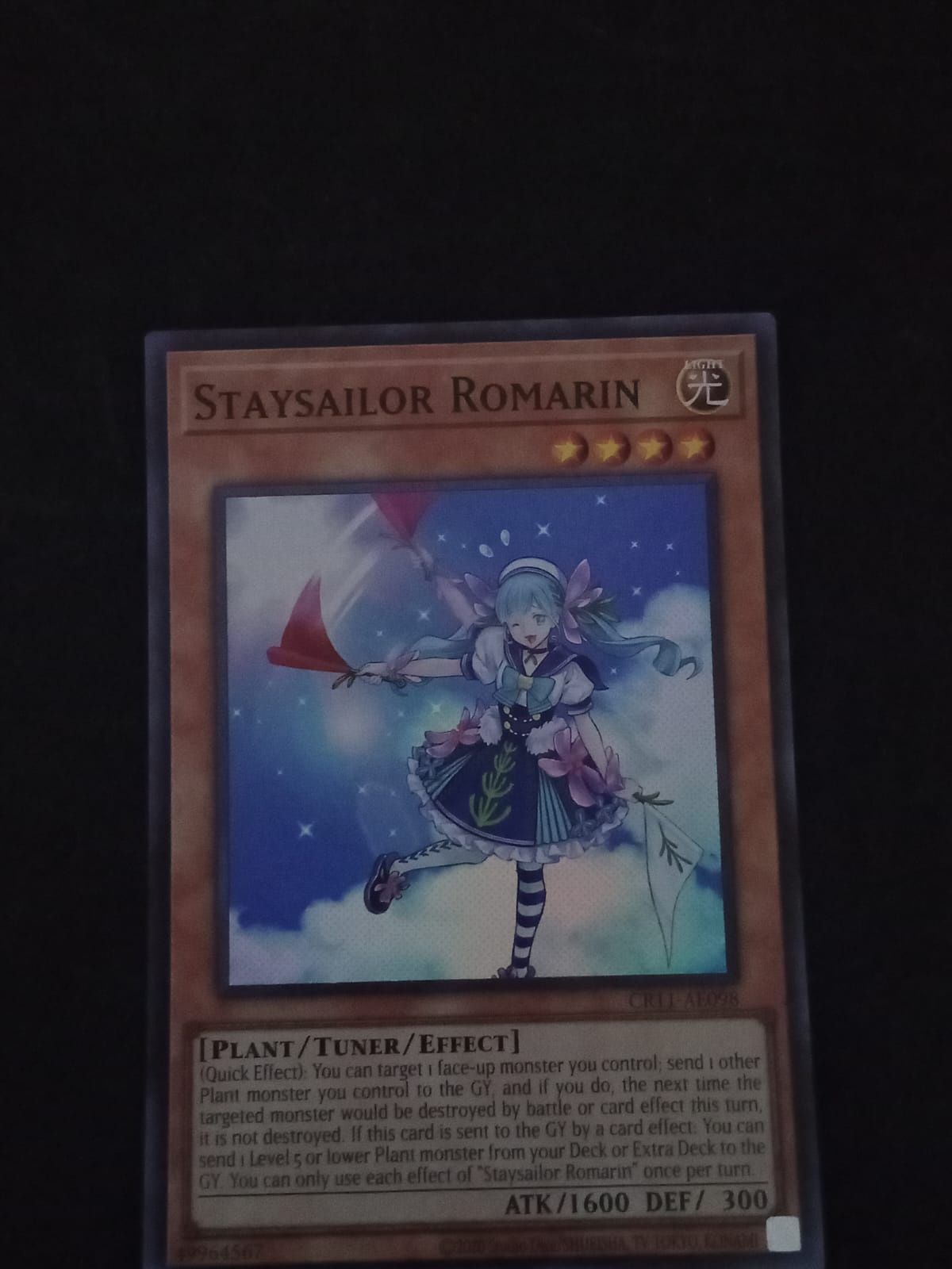 CR11-AE098 Staysailor Romarin Super Rare
