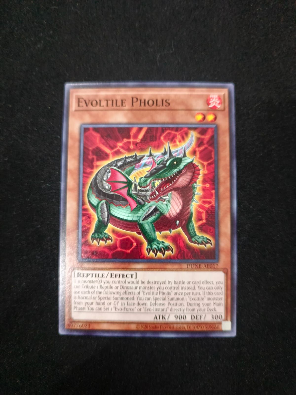 DUNE-AE017 Evoltile Pholis Common