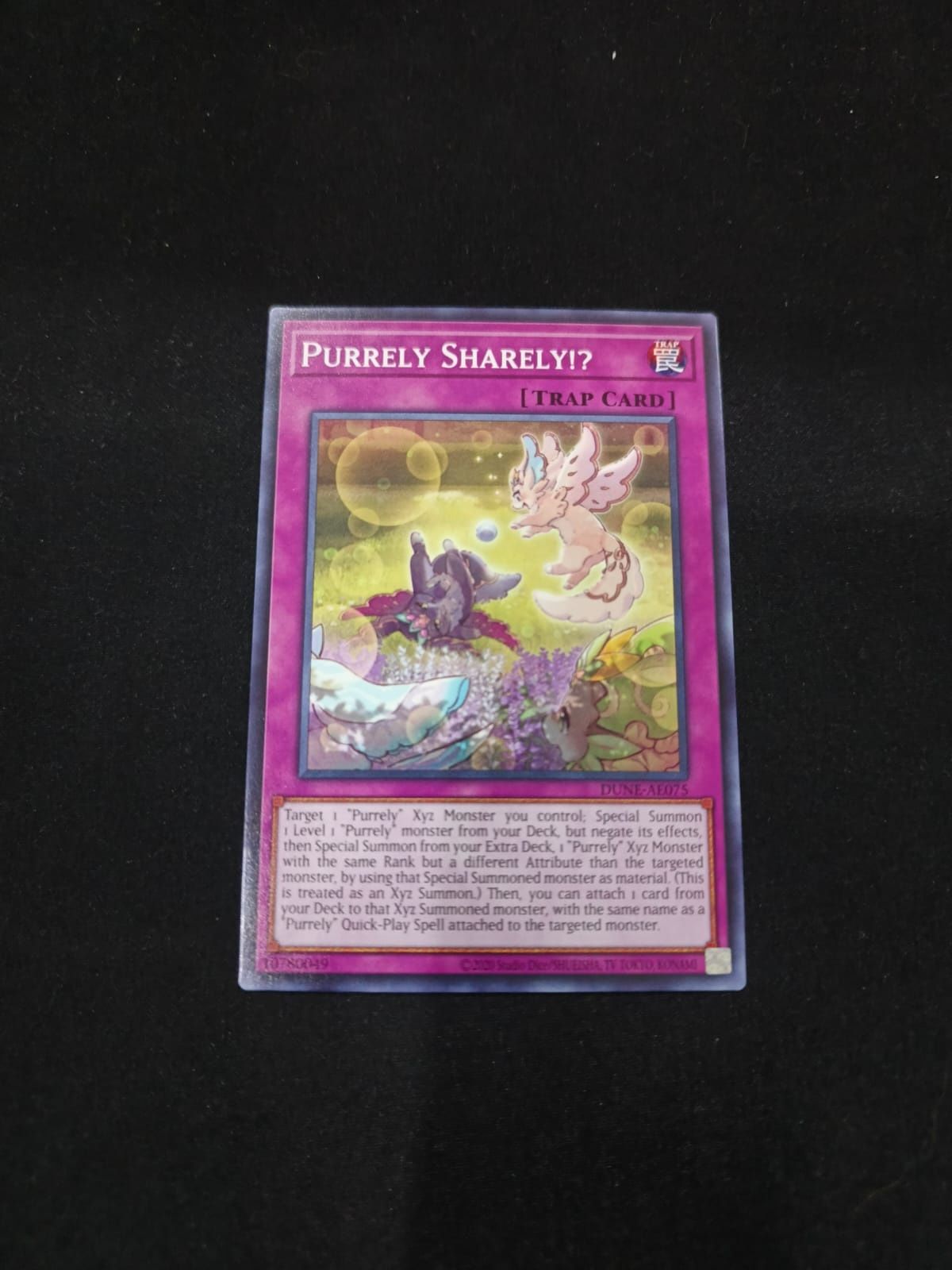 DUNE-AE075 Purrely Sharely!? Common