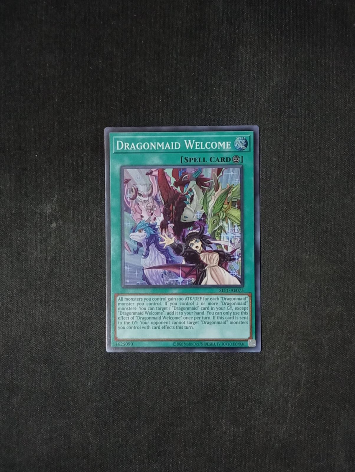 SLF1-AE075 Dragonmaid Welcome
Super Rare