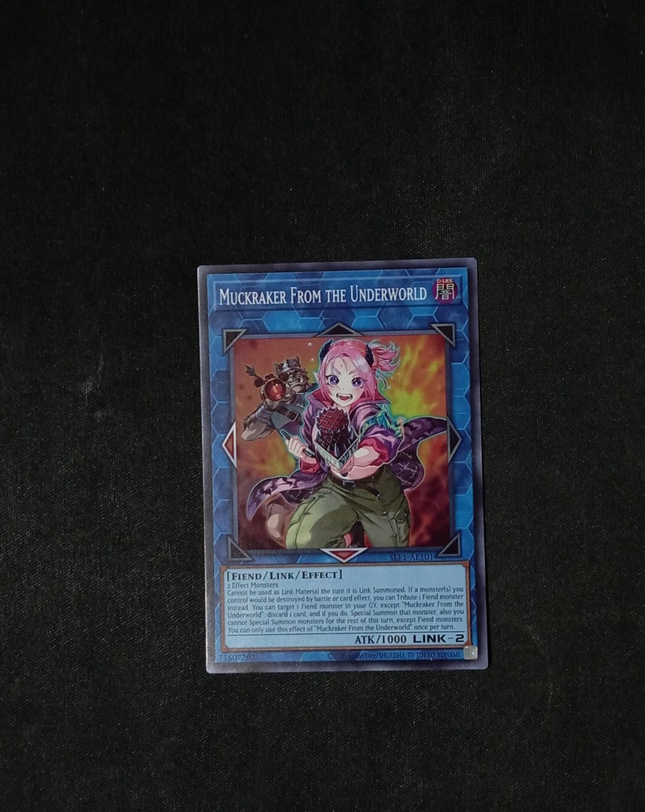 SLF1-AE101 Muckraker From the Underworld
Super Rare