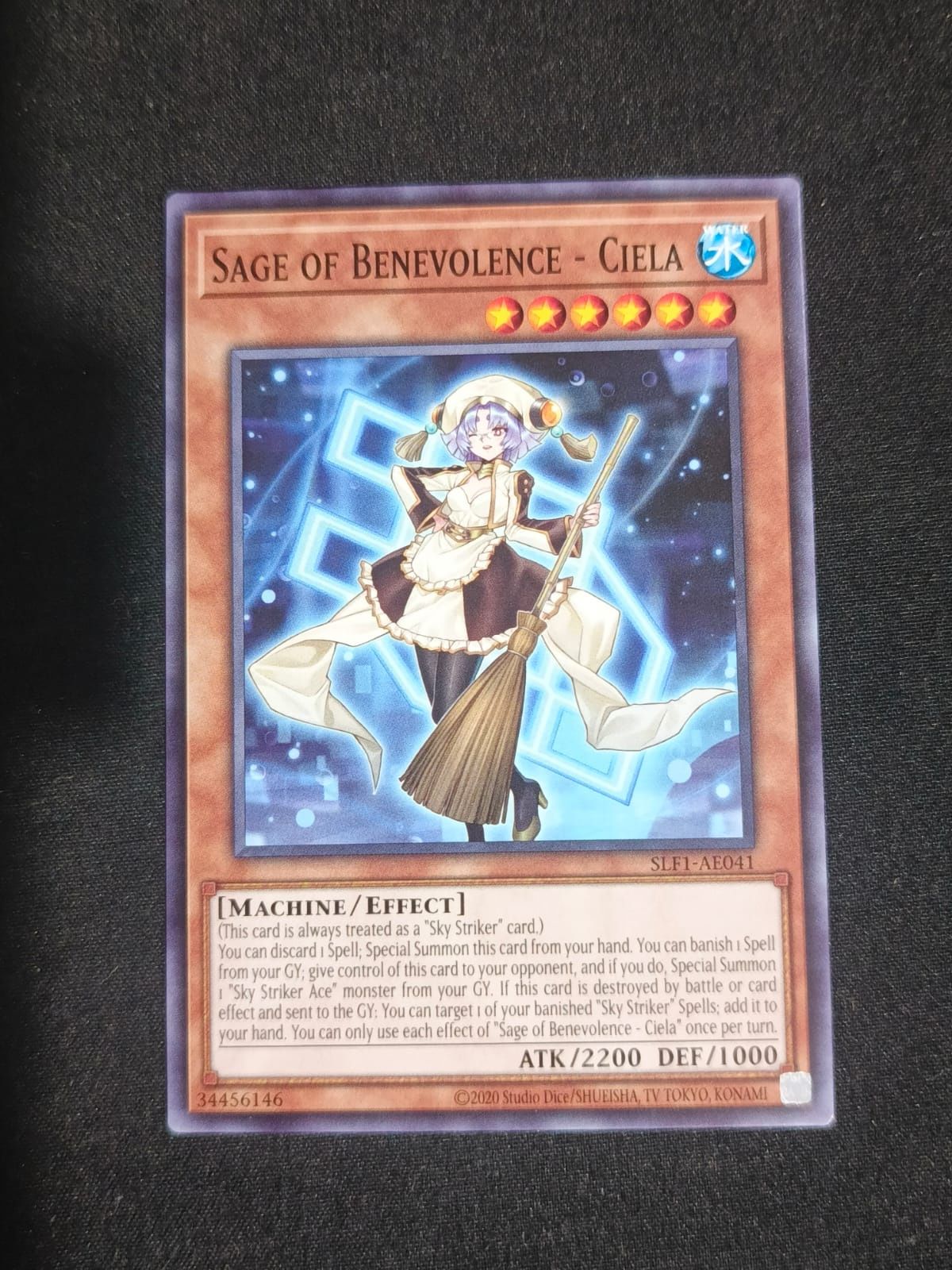 SLF1-AE041 Sage of Benevolence - Ciela Common
