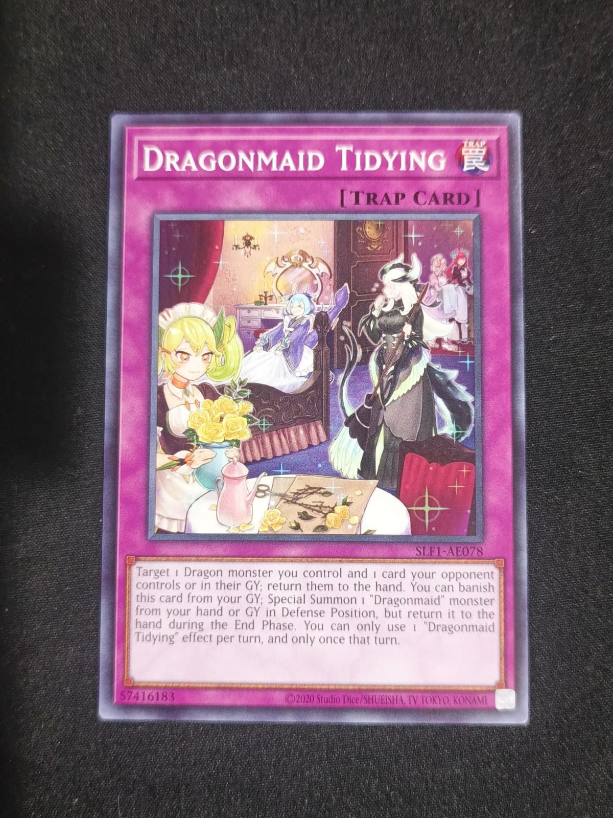 SLF1-AE078 Dragonmaid Tidying Common