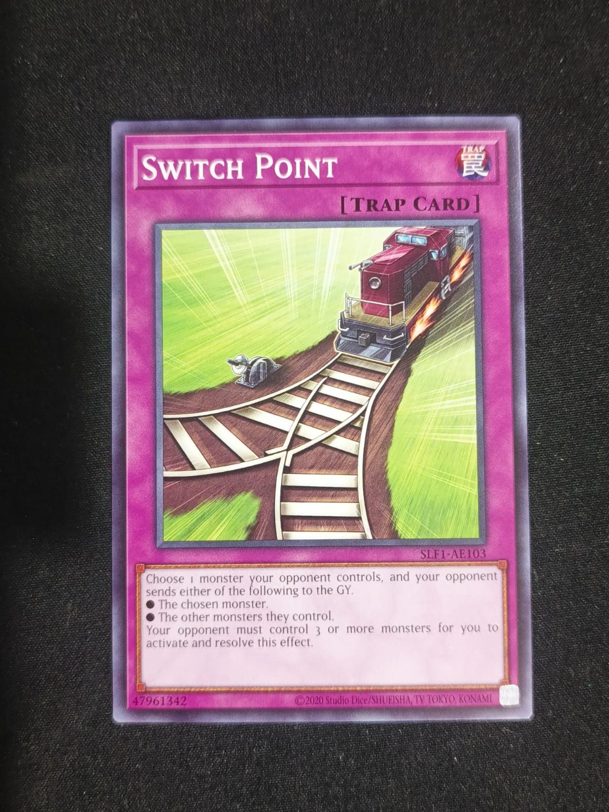 SLF1-AE103 Switch Point Common