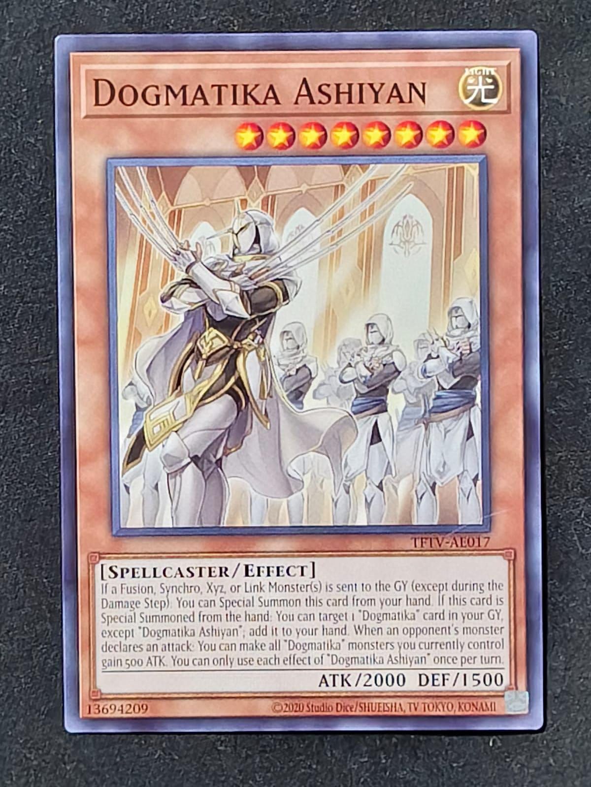 TFTV-AE017 Dogmatika Ashiyan Common