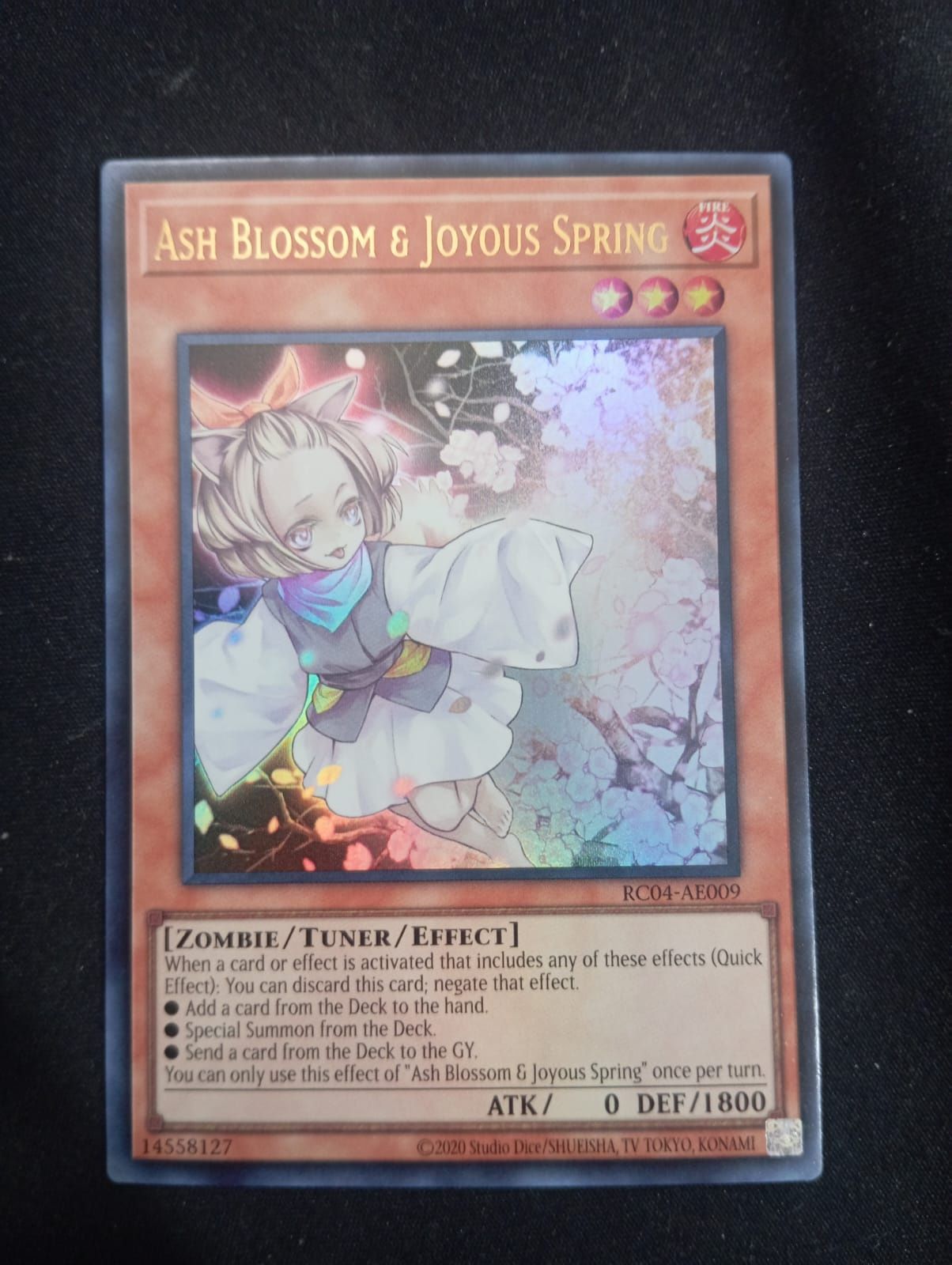 RC04-AE009 Ash Blossom & Joyous Spring Ultra Rare
Holographic Rare