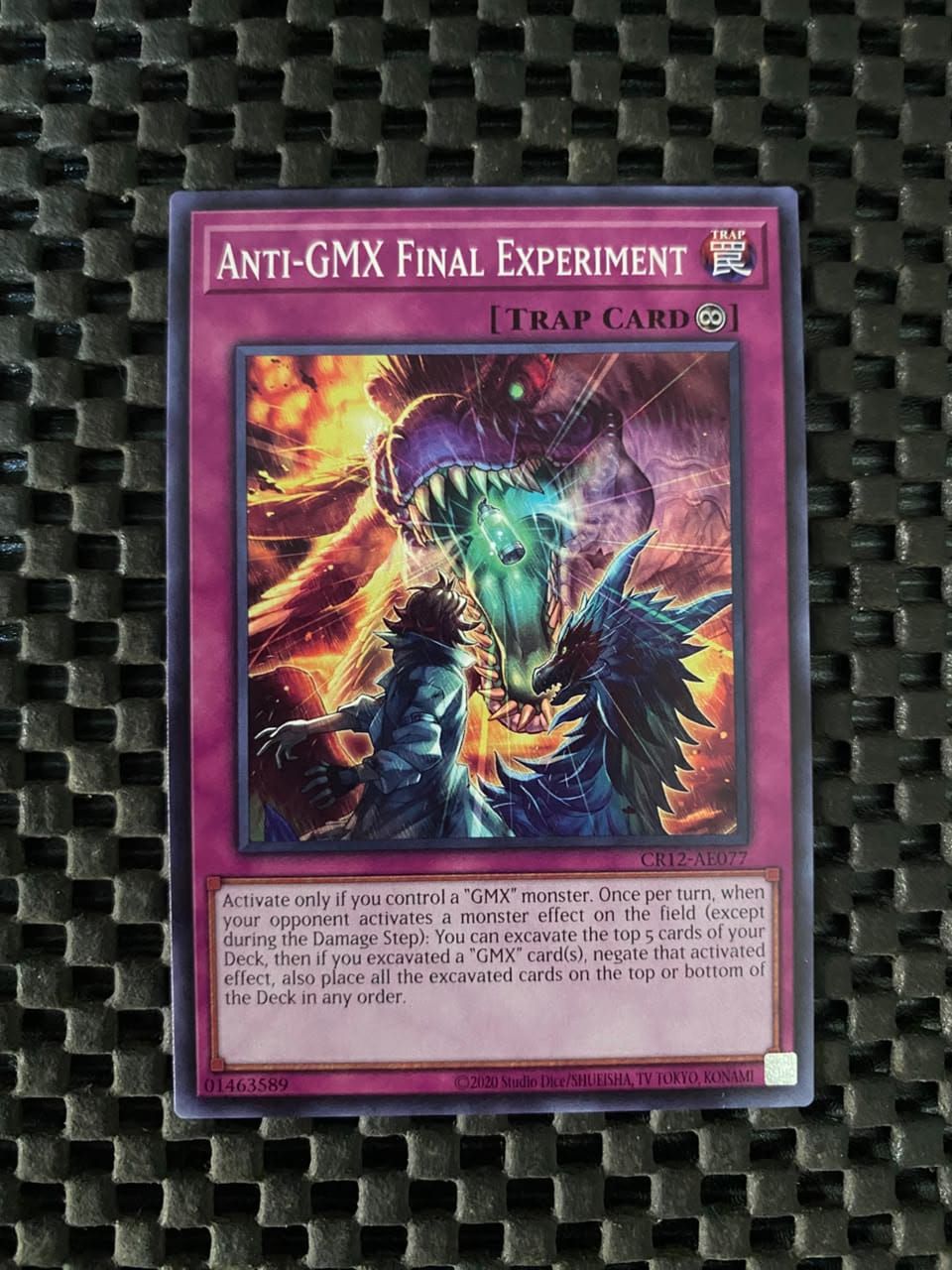 CR12-AE077 Anti-GMX Final Experiment Common