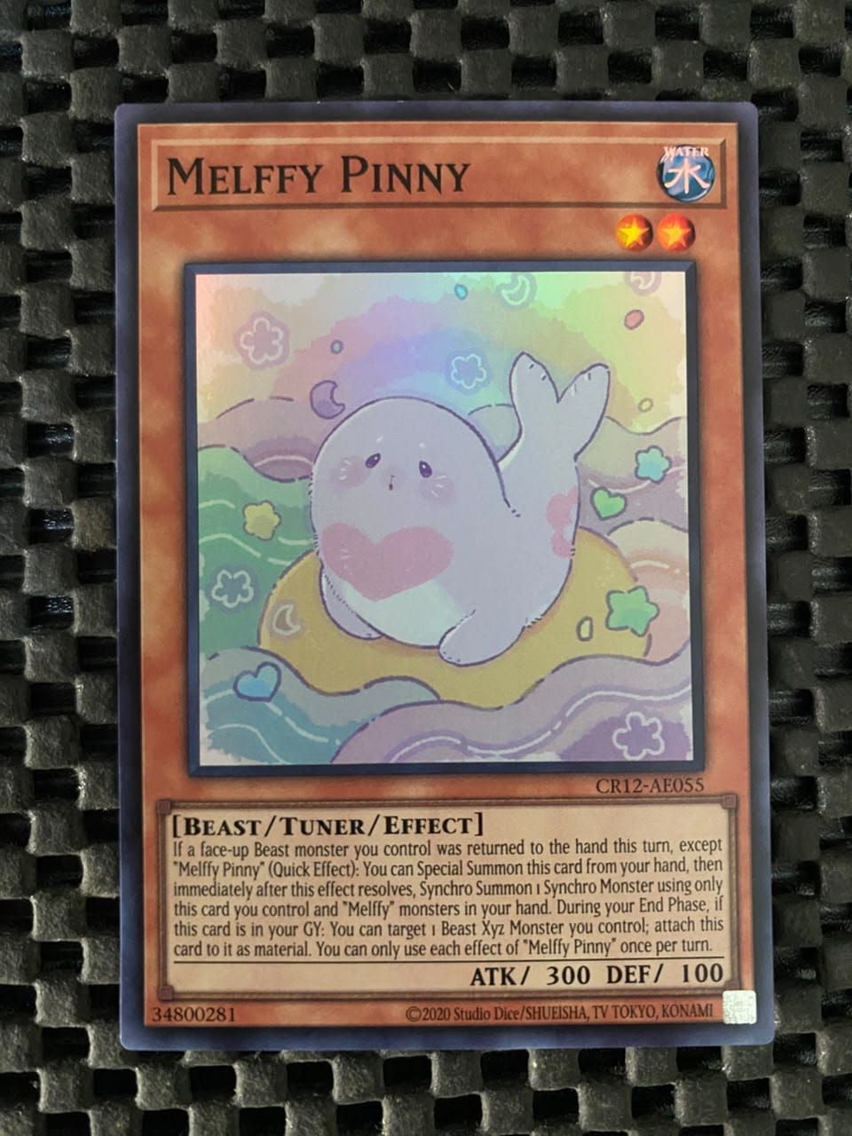 CR12-AE055 Melffy Pinny Super Rare