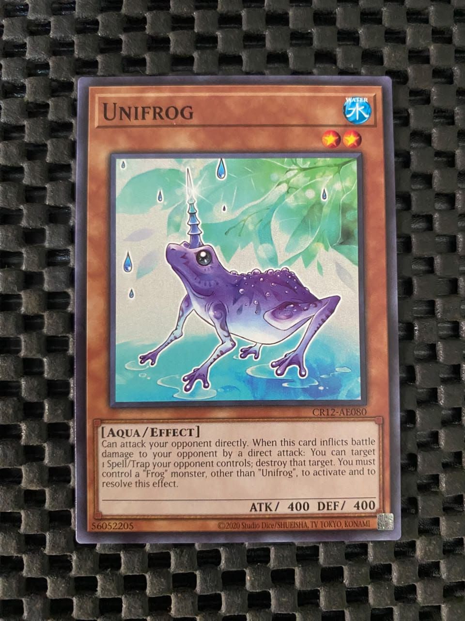 CR12-AE080 Unifrog Common