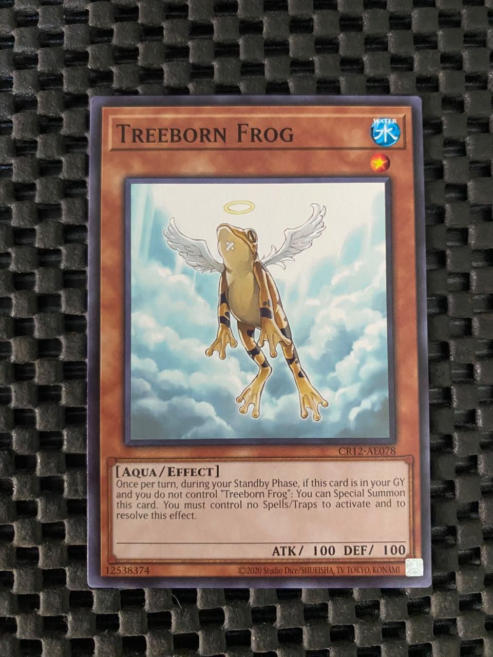 CR12-AE078 Treeborn Frog Common