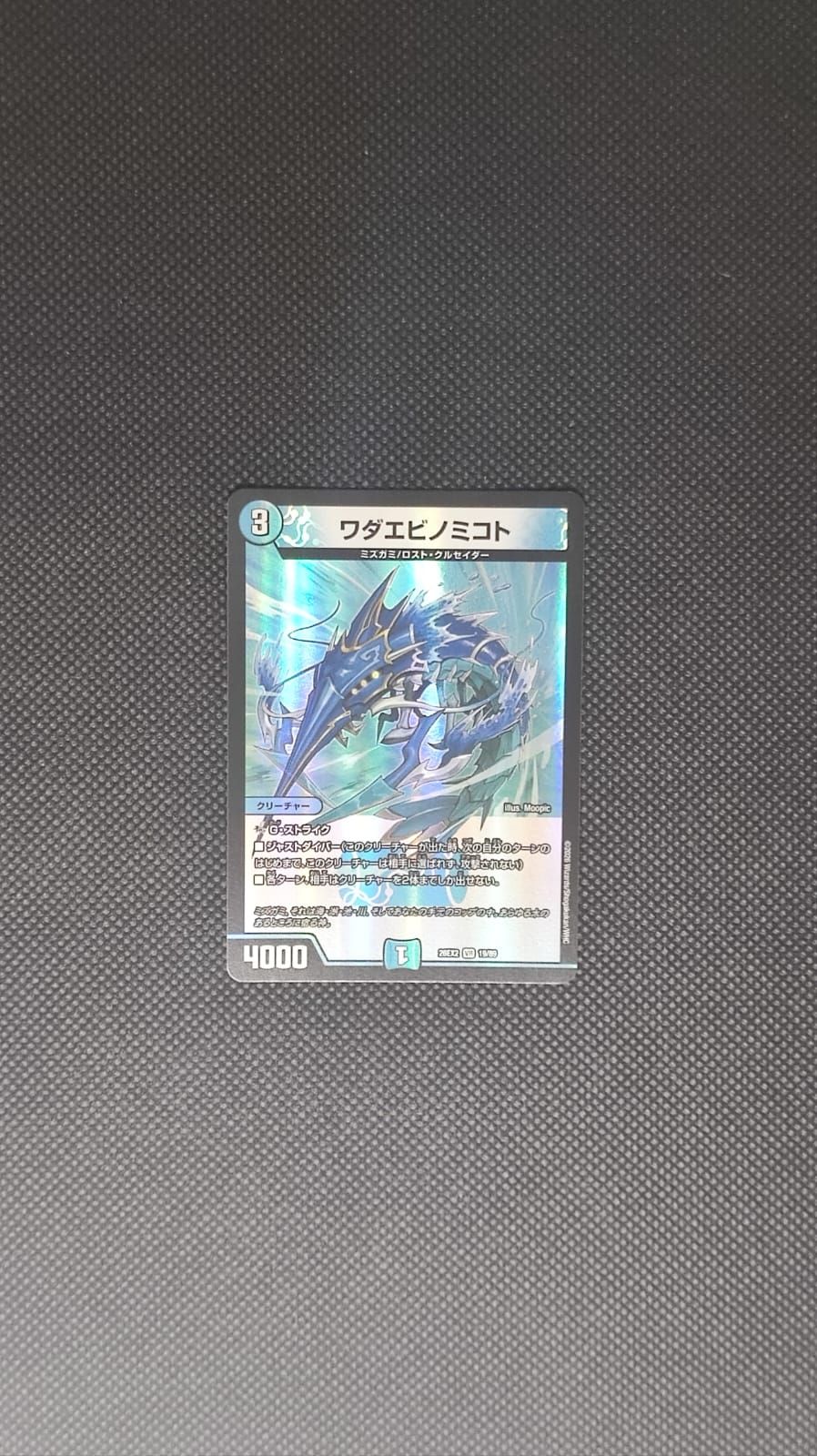 DM26-EX2 Wadaebinomikoto 19/89